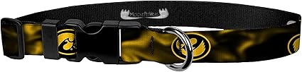 Racing Dog Collar – University of Iowa Hawkeyes Adjustable Pet Collars – 3/4 Inch Wide, Medium, Gold Smoke Hawk