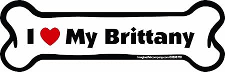 Bone Car Magnet, I Love My Brittany, 2-Inch by 7-Inch