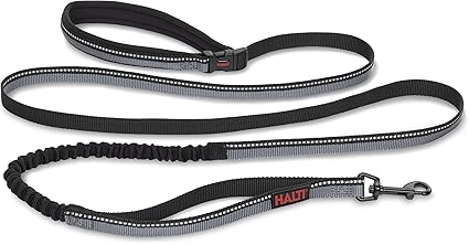 HALTI Active Leash - Award-Winning Bungee Dog Leash, Shock-Absorbing, All-in-One Neoprene Padded Belt & Lead, Perfect for Running & Training with Medium & Large Dogs (Size Large, Black)