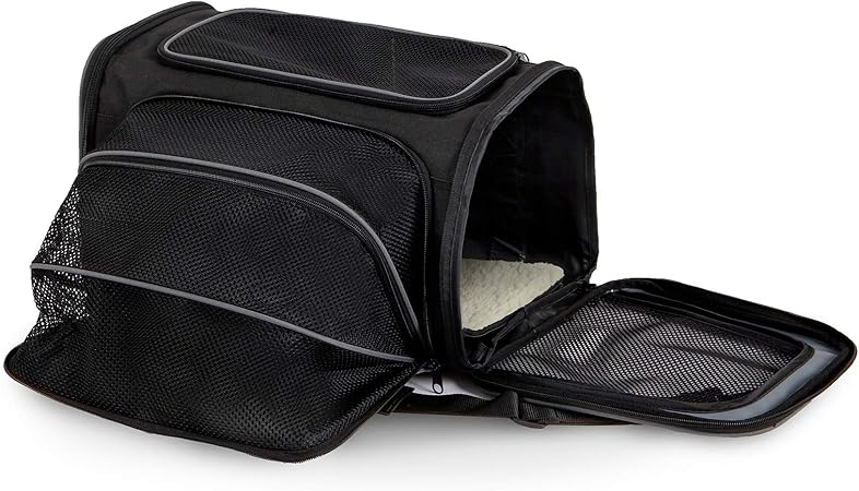 Petmate 21842 See and Extend Pets Carrier, Black