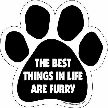 Paw Car Magnet, The Best Things in Life are Furry, 5-1/2-Inch by 5-1/2-Inch