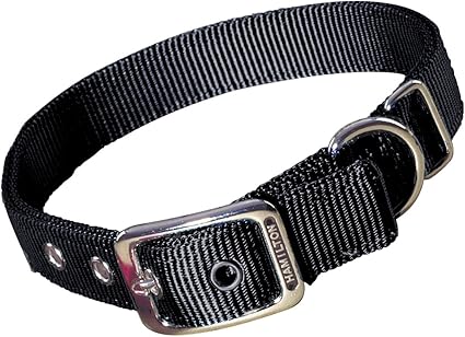 Hamilton Double Thick Nylon Deluxe Dog Collar, 1-Inch by 26-Inch, Black