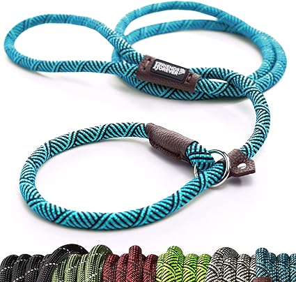 Friends Forever Extremely Durable Dog Rope Leash, Premium Quality Training Slip Lead, Reflective, Thick Heavy Duty, Sturdy, No Pull, Comfortable For The Strong Large Medium Small Pets 6 feet, Blue