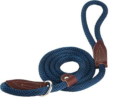 6-Feet Slip Lead for Dogs, X-Small, Blue