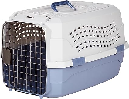 Amazon Basics - 2-Door Top-Load Hard-Sided Dogs, Cats Pet Travel Carrier, Gray & Blue, 22.8