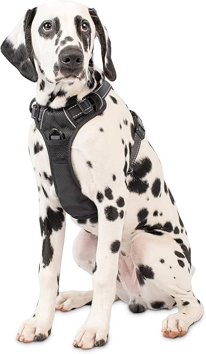 Pet Craft Supply Premium Dog Harness - L