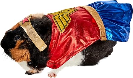 Rubie's DC Comics Wonder Woman Small Pet Costume, As Shown, Extra-Small