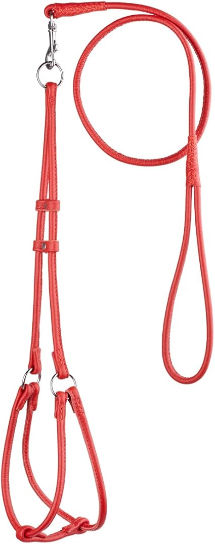 Dogline Soft Round/Rolled Genuine Leather Step-In Harness with 15 to 20-Inch Chest and 36-Feet Leash, Red