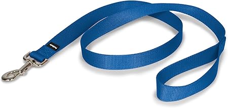 PetSafe Nylon Dog Leash - Strong, Durable, Traditional Style Leash with Easy to Use Bolt Snap - 1 in. x 4 ft., Royal Blue