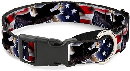 Buckle-Down Flying Eagle/American Flag Martingale Dog Collar, 1.5