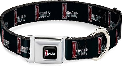 Dog Collar Seatbelt Buckle 1972 Camaro Script Emblem Black Silver Reds 15 to 26 Inches 1.0 Inch Wide