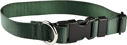 Dog Collar - Colored Adjustable Pet Collars – 3/4 Inch Wide, Small, Forest Green