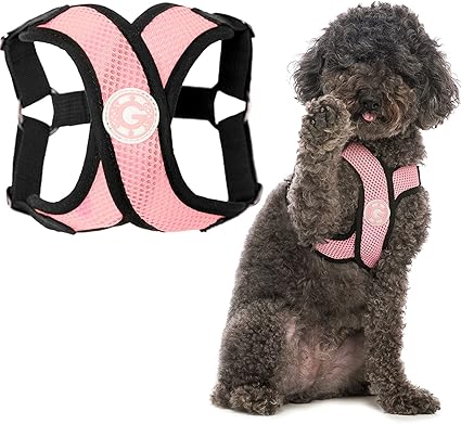 Gooby Comfort X Step In Harness - Pink, Small - Comfort X Step-in Small Dog Harness Patented Choke-Free X Frame - On the Go Dog Harness for Medium Dogs No Pull or Small Dogs for Indoor and Outdoor Use