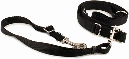 PetSafe Hands Free Adjustable Dog Leash - Great for Running, Jogging, Walking and Hiking - Wear Around The Waist - Black