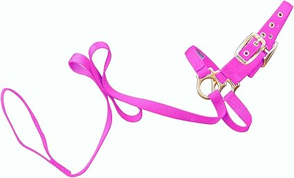 Hamilton Sheep Show Halter with Lead, 3/4-Inch by 5-Feet, Hot Pink