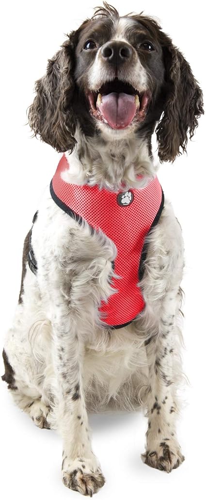 Furhaven Adjustable Padded Mesh Dog Harness - Red, Large