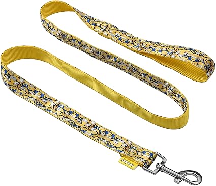 Minions Dog Leash, 4ft (48in) Blue and Yellow More Than a Minion| Gifts for Minions Fans and Their Pets | Officially Licensed Pet Product from Universal Studios| Gifts for Minions Fans and Their Pets