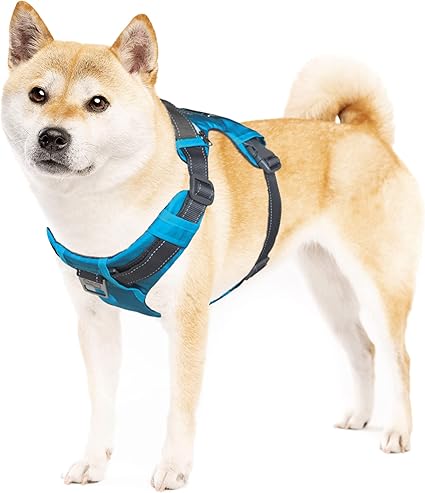 Outward Hound Boulder Adventure Adjustable Dog Harness with Pockets, Turquoise, Medium