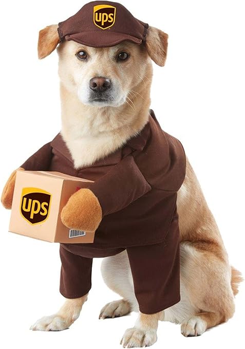 California Costumes UPS Dog Costume - M