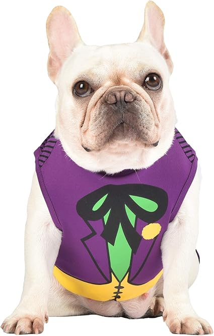 DC Comics Joker Dog Costume, Extra-Small (XS) | Superhero Costume for Dogs | Purple Dog Halloween Costumes for Small Dogs, Cute Joker Costume | See Sizing Chart for Details