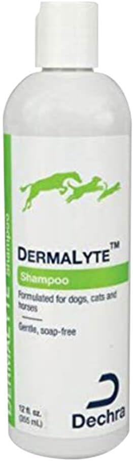 Shampoo, 12 Ounce