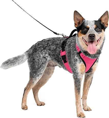 PetSafe EasySport Dog Harness – Adjustable Padded Dog Harness with Control Handle and Reflective Piping – Medium, Pink