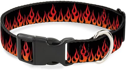 Buckle-Down Plastic Clip Collar - Flames Black/Orange/Red - 1/2