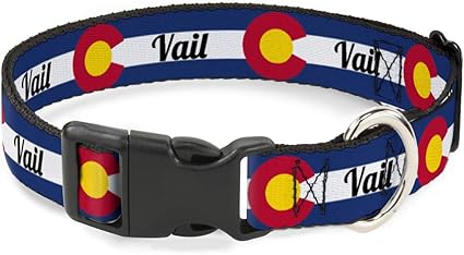 Buckle-Down Cat Collar Breakaway Colorado Vail Flag Blue White Red Yellow 9 to 15 Inches 0.5 Inch Wide