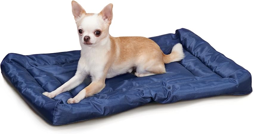 Water-Resistant Beds - Comfortable and Durable Nylon Beds for Dogs and Cats - Large, Royal Blue