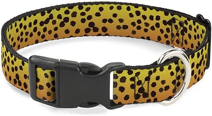 Buckle-Down Cat Collar Breakaway Cheetah 6 to 9 Inches 0.5 Inch Wide