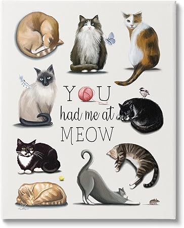 Stupell Industries You Had Me At Meow Cat Pet Canvas Wall Art, Design by Elizabeth Tyndall