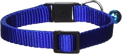 Guardian Gear Nylon Cat Collar, 8-12-Inch, Blue