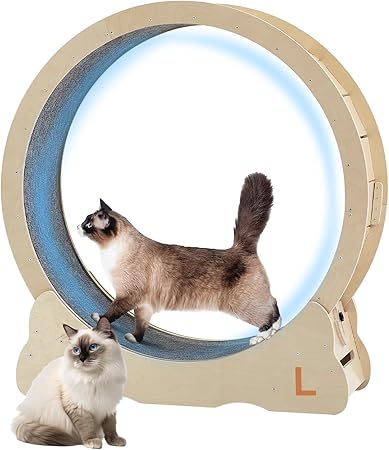 Cat Exercise Wheel for Indoor Cats Treadmill, Cat Running Wheel with Carpeted Runway, 39.4 inch Cats Fitness Weight Loss Device Suitable for Most Cats.(L)