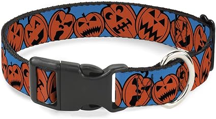 Buckle-Down Plastic Clip Collar - Jack-o'-Lanterns Blue - 1