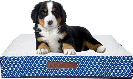 Wags N' Whiskers Atkins Lattice Small Orthopedic Pet Bed