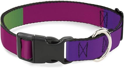 Buckle-Down Cat Collar Breakaway Multi Color Blocks 6 to 9 Inches 0.5 Inch Wide