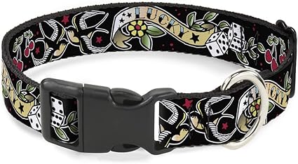 Buckle-Down Cat Collar Breakaway Lucky Black 9 to 15 Inches 0.5 Inch Wide