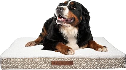 Wags N' Whiskers Bogart Gate Large Orthopedic Pet Bed