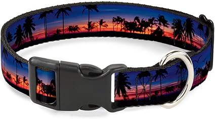 Buckle-Down Plastic Clip Collar - California Sunset - 1.5