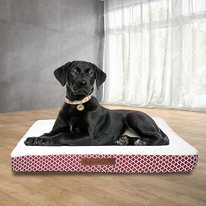 Wags N' Whiskers Cezebel Trellis Medium Orthopedic Pet Bed