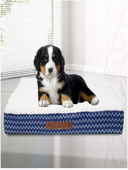 Wags N' Whiskers Cadbury Chevron Small Orthopedic Pet Bed