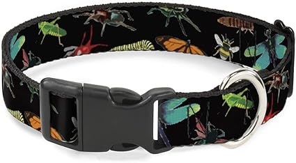 Buckle-Down Cat Collar Breakaway Insects Scattered Close Up Black 9 to 15 Inches 0.5 Inch Wide