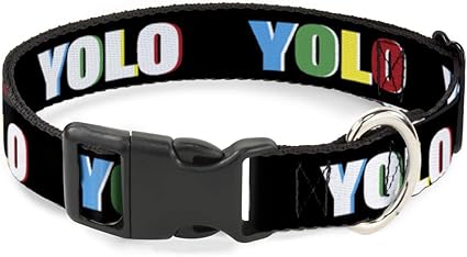 Cat Collar Breakaway YOLO Black Multi Color 6 to 9 Inches 0.5 Inch Wide