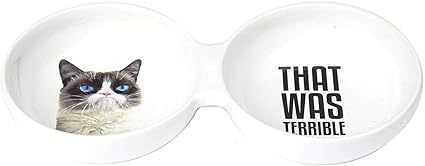 PetRageous G16101 Grumpy Cat That was Terrible Cat or Dog Stoneware Dishwasher Safe Duo Diner Bowl 10-Inch Long 4.75-Inch Wide 1.5-Inch Tall 1-Cup Each Bowl White