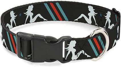 Buckle-Down Cat Collar Breakaway Mud Flap Girls Stripes Gray Turquoise Orange 9 to 15 Inches 0.5 Inch Wide