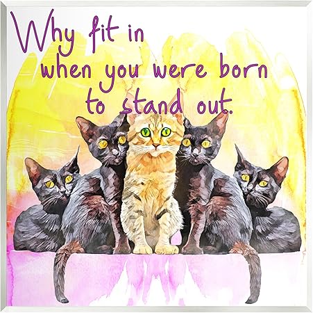 Stupell Industries Born To Stand Out Cats Pet Phrase Wall Plaque Art, Design by Kim Curinga