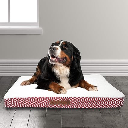 Wags N' Whiskers Cezebel Trellis Large Orthopedic Pet Bed