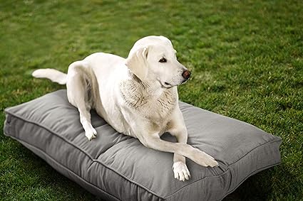 Sunbrella Double Sided Dog Bed for Indoor/Outdoor,Washable Cover & Chew Proof, Pets Mat for Multipurpose, Easy Care & Pet Safe Products (Medium, Polyester, Dove, 36”x 26”x 3