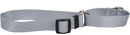 Yellow Dog Design Gray Simple Solid Martingale Dog Collar 3/4