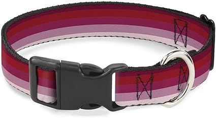 Buckle-Down Cat Collar Breakaway Spectrum Pink 9 to 15 Inches 0.5 Inch Wide